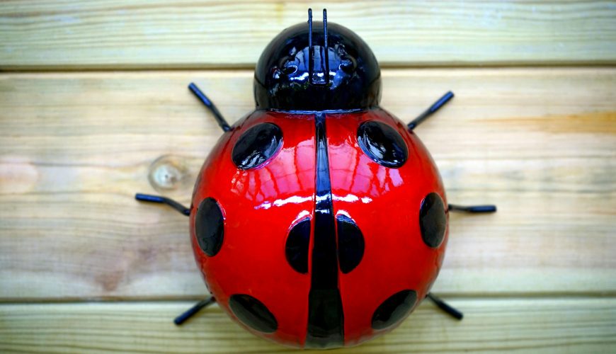 Ladybug Plastic Toy